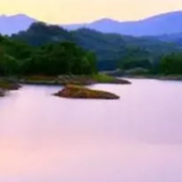 信息流廣告代理公司 杭州廣告市場的專業選擇